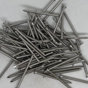Stainless Steel Ring Shank Nails